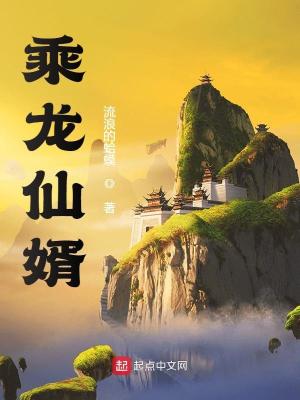 乘龙l3